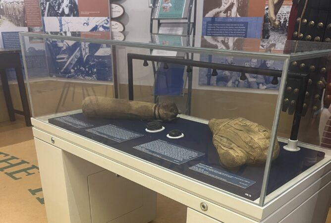 Display case with Egyptian artefacts